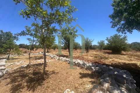 Ruinere i Carovigno, Brindisi, Carovigno - € 97.000 | Ref: Trullo Iovite - foto 15